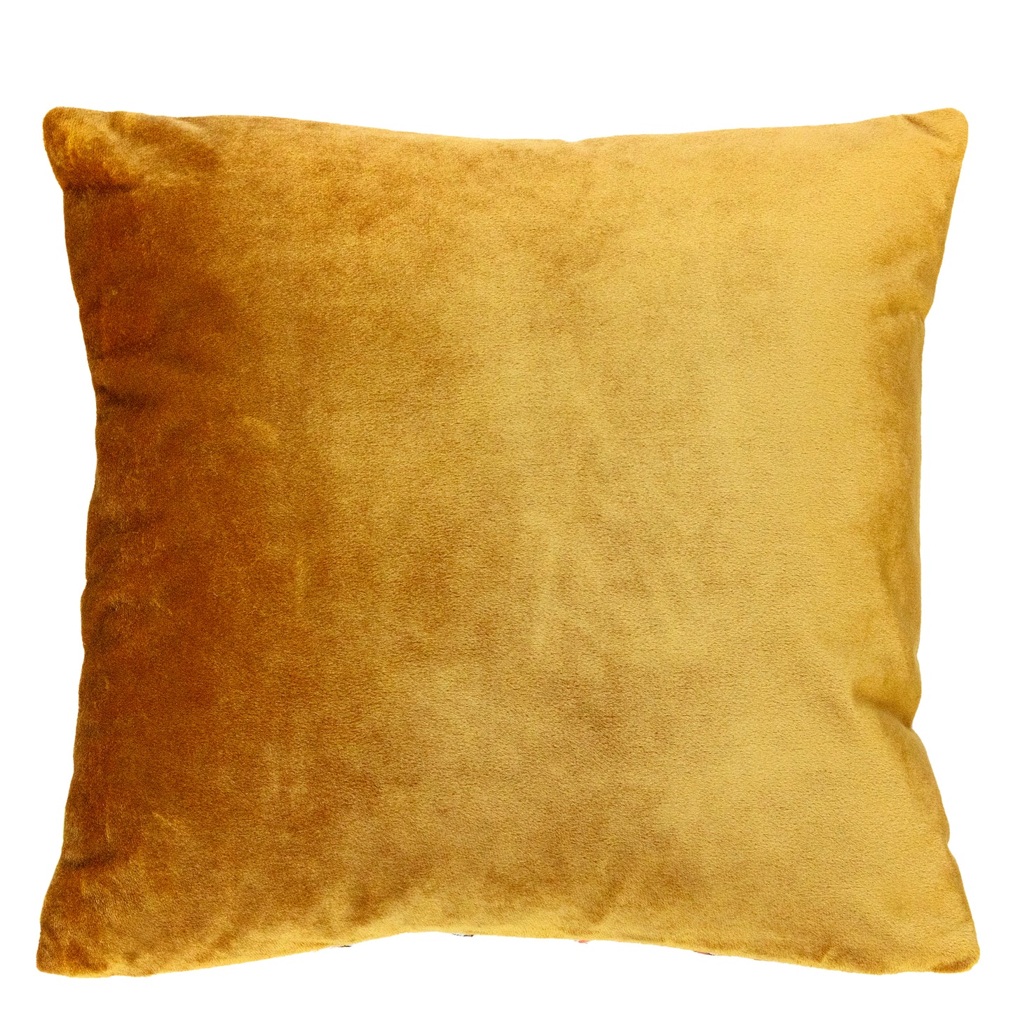 The back of the pillow is gold velvet