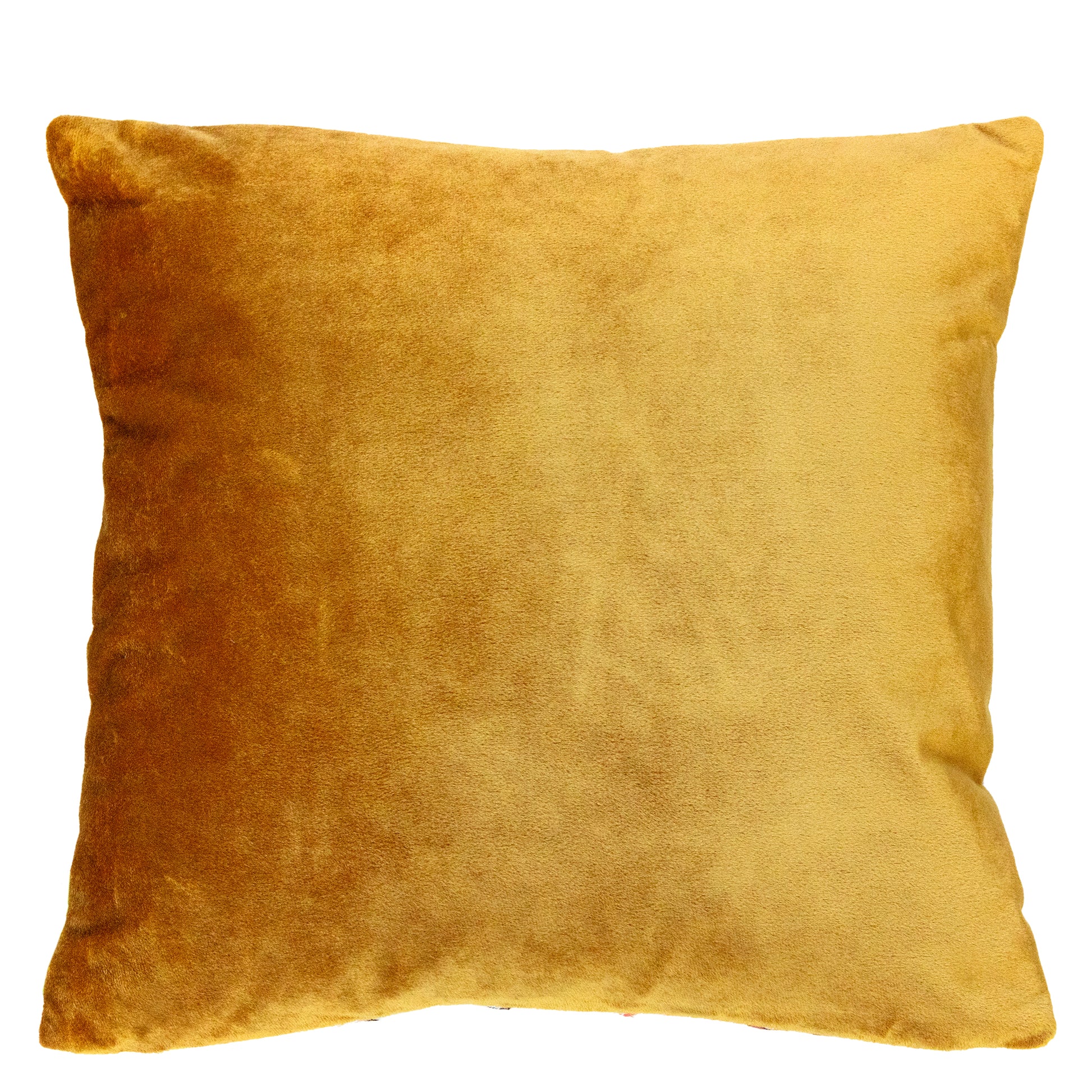 The back of the pillow is gold velvet