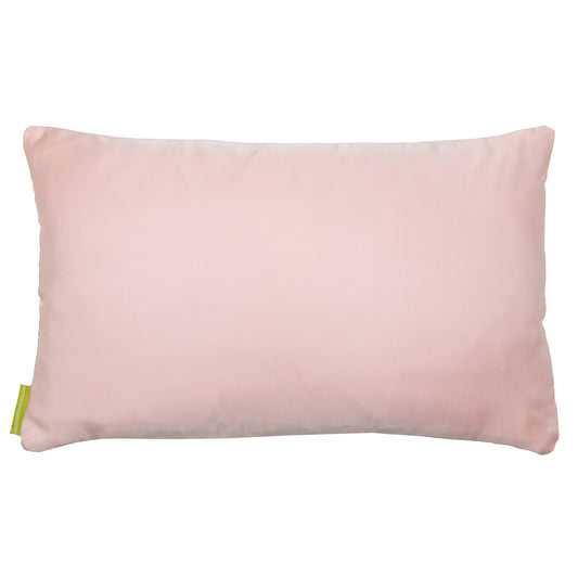 The pillow reverse is made with pale pink silk.
