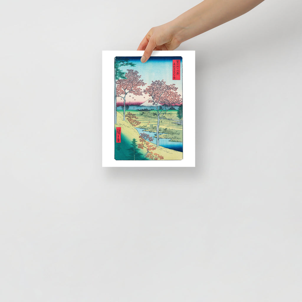 Close-up of sunset sky with vibrant orange and pink hues, highlighting delicate color gradation and subtle texture details.