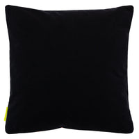 Black velvet pillow reverse