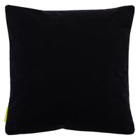 Black velvet reverse of the pillow