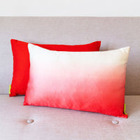 Pink Dip Dye Cushion Red Silk Back Antique Obi