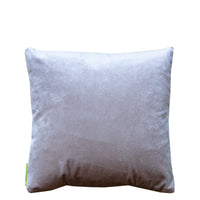 Silvery velvet reverse of the pillow
